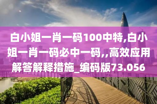 白小姐一肖一码100中特,白小姐一肖一码必中一码,,高效应用解答解释措施_编码版73.056