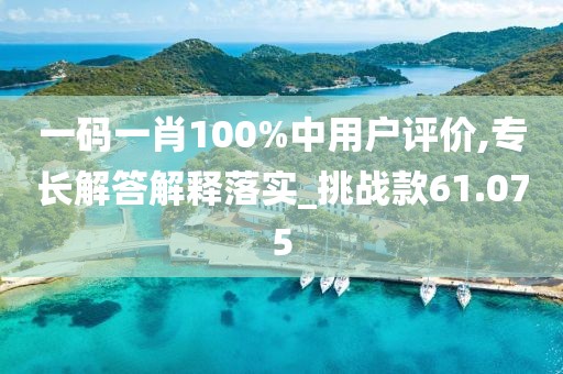 一码一肖100%中用户评价,专长解答解释落实_挑战款61.075