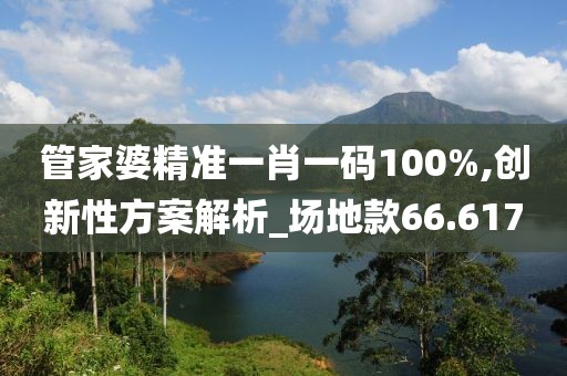 管家婆精准一肖一码100%,创新性方案解析_场地款66.617