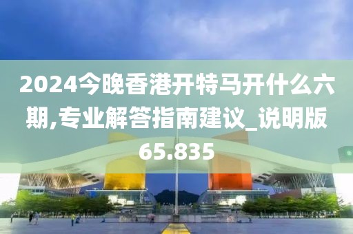 2024今晚香港开特马开什么六期,专业解答指南建议_说明版65.835