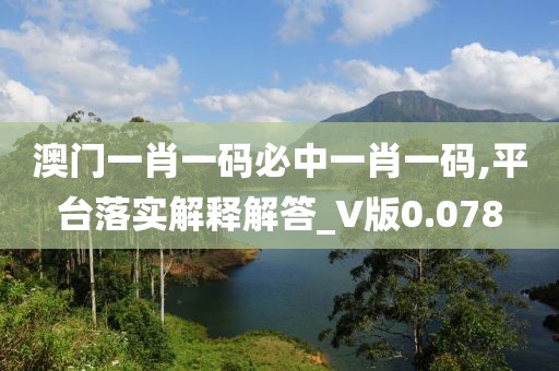澳门一肖一码必中一肖一码,平台落实解释解答_V版0.078