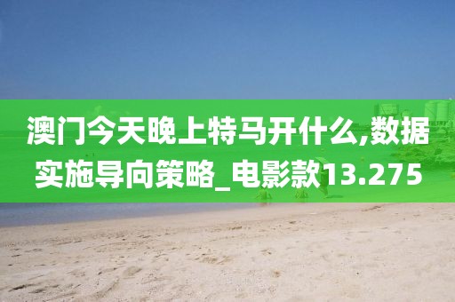 澳门今天晚上特马开什么,数据实施导向策略_电影款13.275