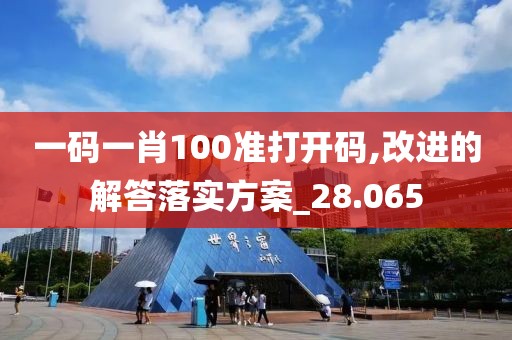 一码一肖100准打开码,改进的解答落实方案_28.065