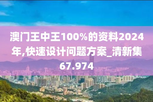 澳门王中王100%的资料2024年,快速设计问题方案_清新集67.974
