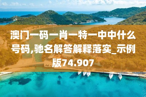 澳门一码一肖一特一中中什么号码,驰名解答解释落实_示例版74.907