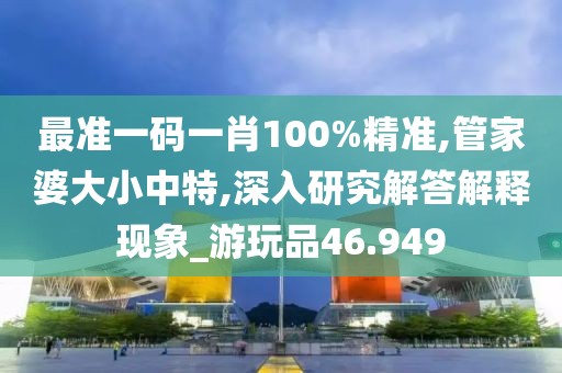 最准一码一肖100%精准,管家婆大小中特,深入研究解答解释现象_游玩品46.949