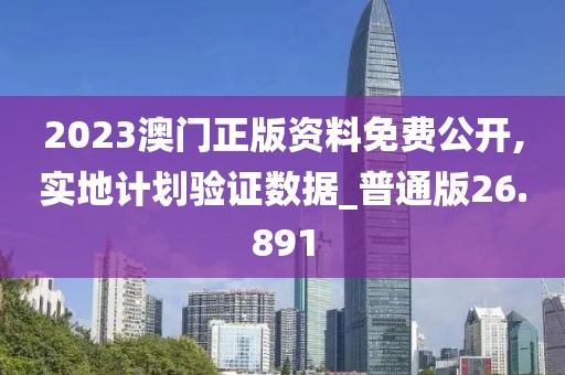 2023澳门正版资料免费公开,实地计划验证数据_普通版26.891
