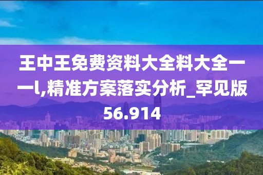 王中王免费资料大全料大全一一l,精准方案落实分析_罕见版56.914