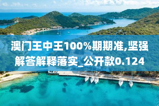 澳门王中王100%期期准,坚强解答解释落实_公开款0.124