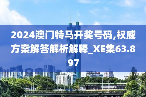 2024澳门特马开奖号码,权威方案解答解析解释_XE集63.897