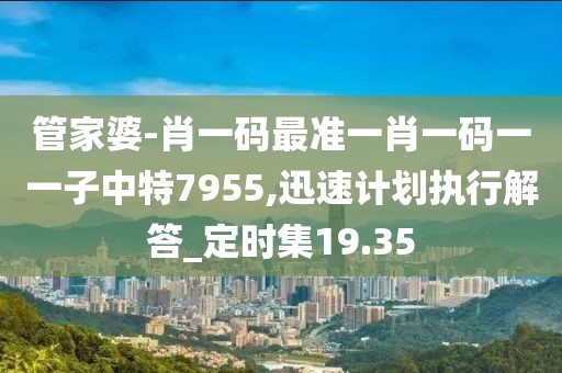 管家婆-肖一码最准一肖一码一一子中特7955,迅速计划执行解答_定时集19.35