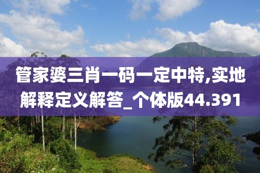 管家婆三肖一码一定中特,实地解释定义解答_个体版44.391