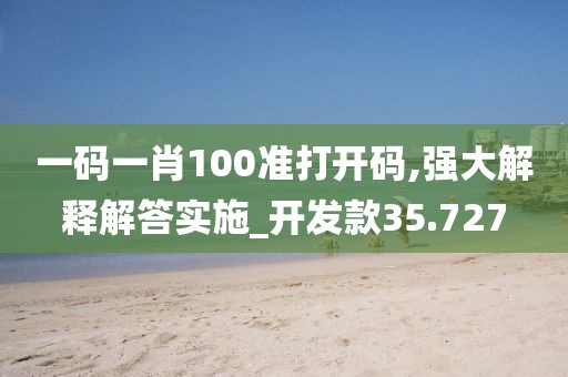 一码一肖100准打开码,强大解释解答实施_开发款35.727