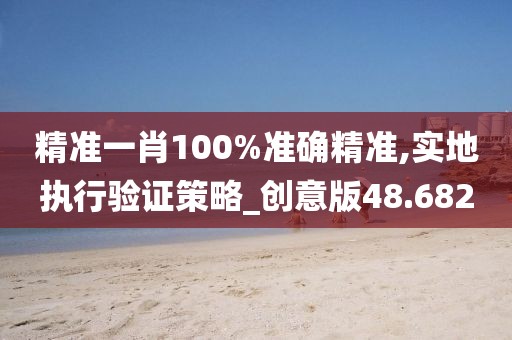精准一肖100%准确精准,实地执行验证策略_创意版48.682