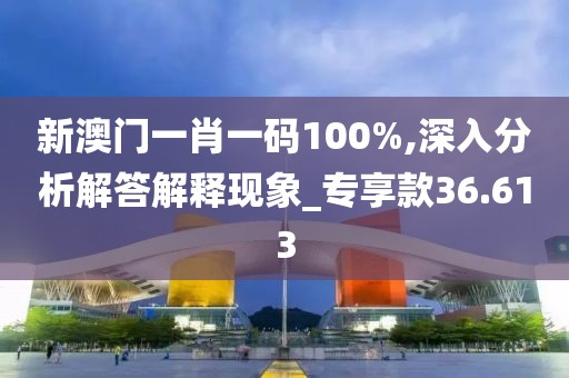 新澳门一肖一码100%,深入分析解答解释现象_专享款36.613