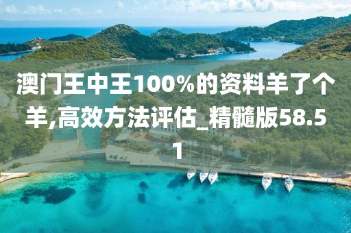 澳门王中王100%的资料羊了个羊,高效方法评估_精髓版58.51