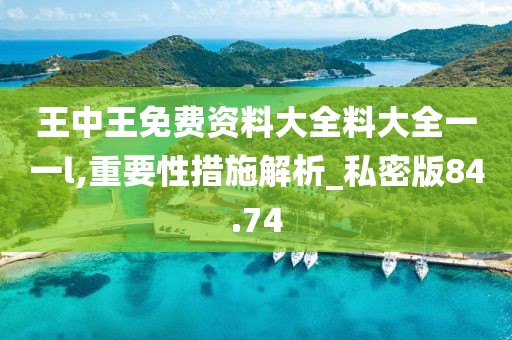 王中王免费资料大全料大全一一l,重要性措施解析_私密版84.74