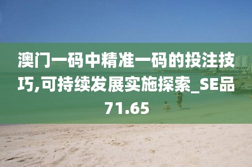 澳门一码中精准一码的投注技巧,可持续发展实施探索_SE品71.65