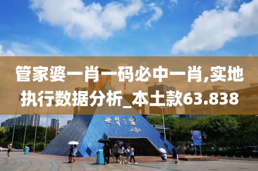 管家婆一肖一码必中一肖,实地执行数据分析_本土款63.838