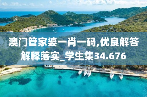 澳门管家婆一肖一码,优良解答解释落实_学生集34.676
