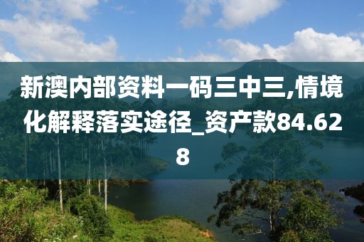 新澳内部资料一码三中三,情境化解释落实途径_资产款84.628