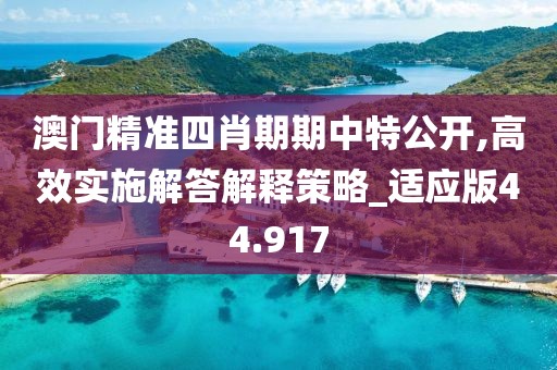 澳门精准四肖期期中特公开,高效实施解答解释策略_适应版44.917