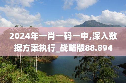 2024年一肖一码一中,深入数据方案执行_战略版88.894
