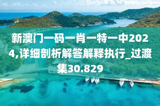 新澳门一码一肖一特一中2024,详细剖析解答解释执行_过渡集30.829