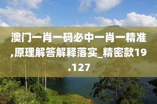 澳门一肖一码必中一肖一精准,原理解答解释落实_精密款19.127
