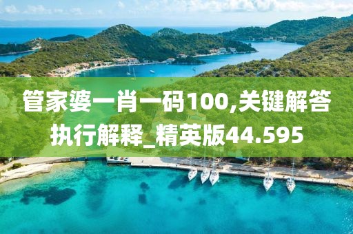 管家婆一肖一码100,关键解答执行解释_精英版44.595