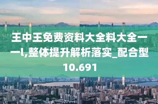 王中王免费资料大全料大全一一l,整体提升解析落实_配合型10.691