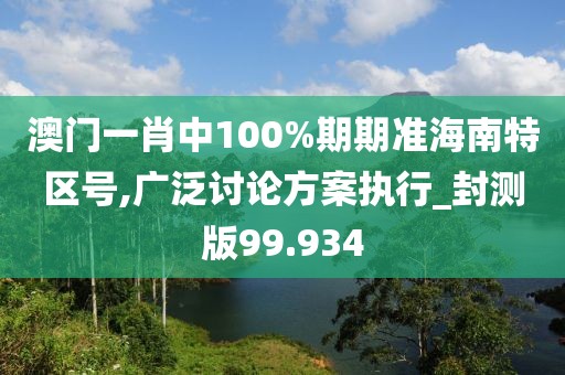 澳门一肖中100%期期准海南特区号,广泛讨论方案执行_封测版99.934