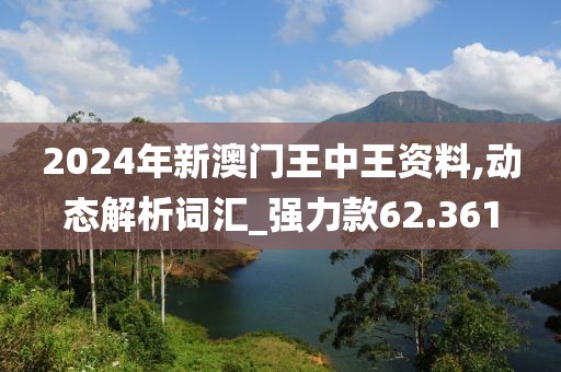 2024年新澳门王中王资料,动态解析词汇_强力款62.361