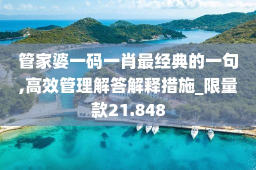 管家婆一码一肖最经典的一句,高效管理解答解释措施_限量款21.848