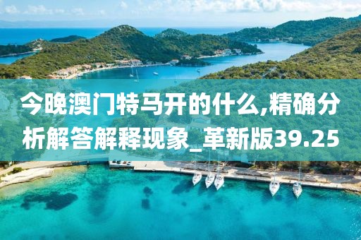 今晚澳门特马开的什么,精确分析解答解释现象_革新版39.25