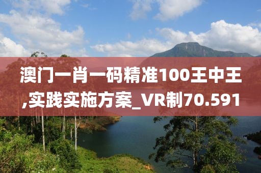 澳门一肖一码精准100王中王,实践实施方案_VR制70.591