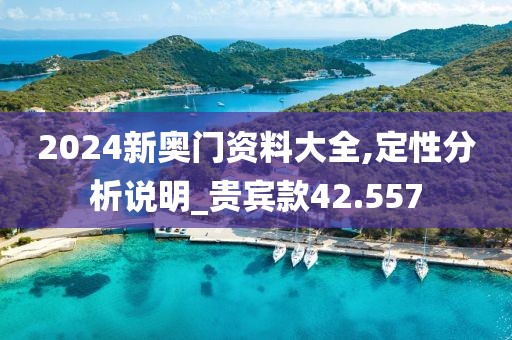 2024新奥门资料大全,定性分析说明_贵宾款42.557