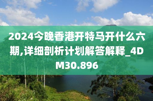 2024今晚香港开特马开什么六期,详细剖析计划解答解释_4DM30.896