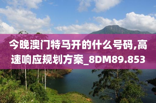 今晚澳门特马开的什么号码,高速响应规划方案_8DM89.853