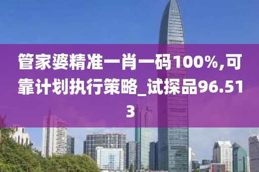 管家婆精准一肖一码100%,可靠计划执行策略_试探品96.513
