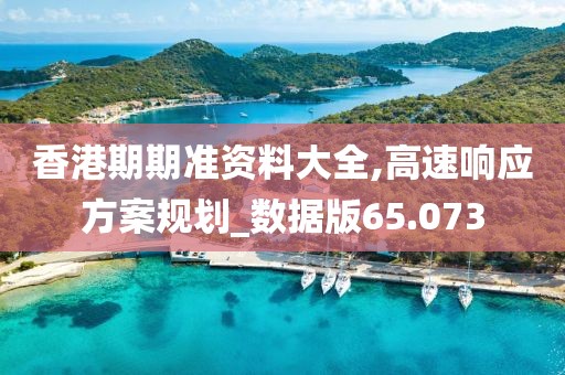 香港期期准资料大全,高速响应方案规划_数据版65.073