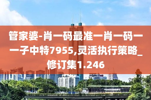 管家婆-肖一码最准一肖一码一一子中特7955,灵活执行策略_修订集1.246