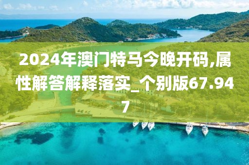 2024年澳门特马今晚开码,属性解答解释落实_个别版67.947