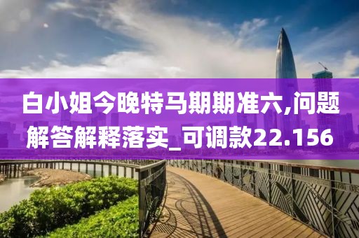 白小姐今晚特马期期准六,问题解答解释落实_可调款22.156