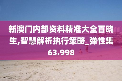 新澳门内部资料精准大全百晓生,智慧解析执行策略_弹性集63.998