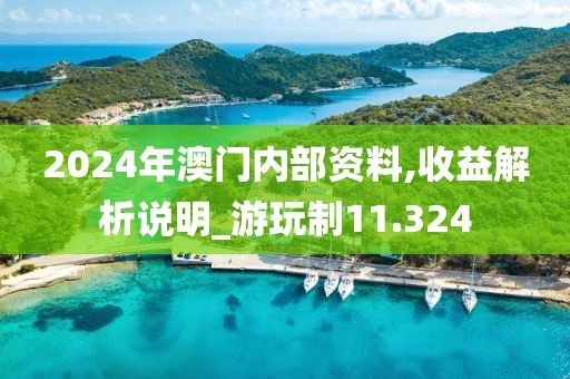 2024年澳门内部资料,收益解析说明_游玩制11.324