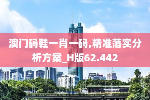 澳门码鞋一肖一码,精准落实分析方案_H版62.442