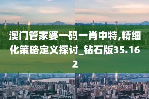 澳门管家婆一码一肖中特,精细化策略定义探讨_钻石版35.162