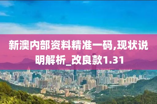 新澳内部资料精准一码,现状说明解析_改良款1.31