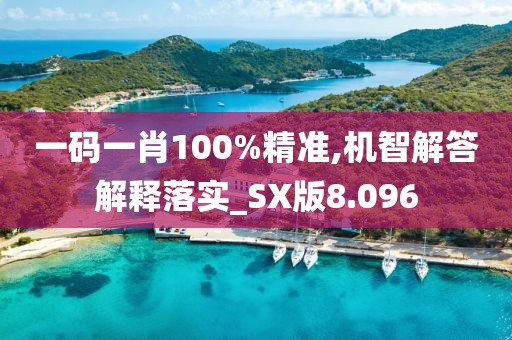 一码一肖100%精准,机智解答解释落实_SX版8.096